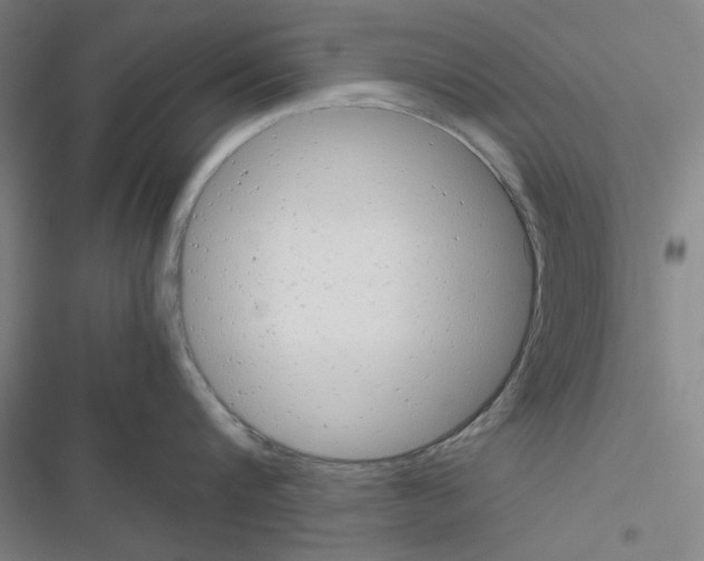X0000116660816201001251216
