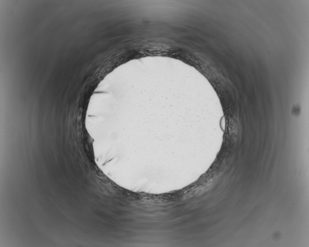 X0000116660818201001251216