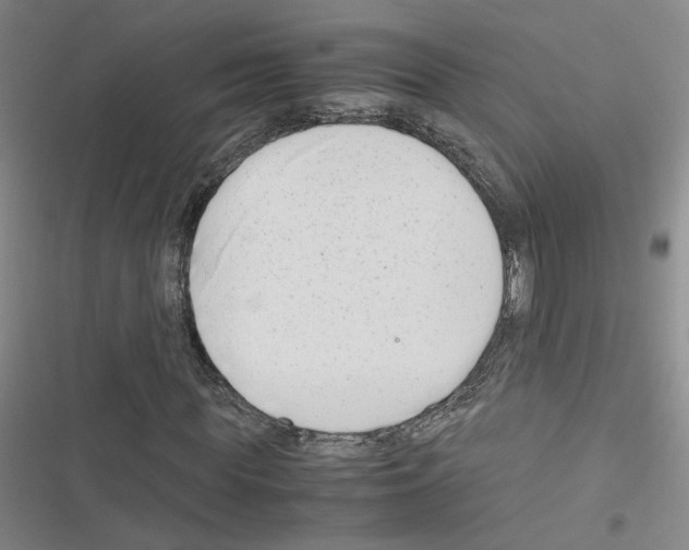 X0000116660819201001251216