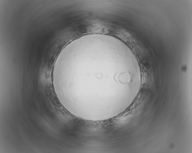 X0000116660820201001251216