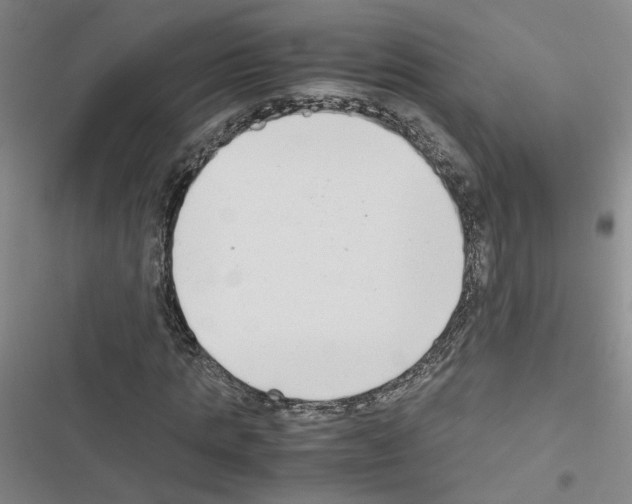 X0000116660821201001251216