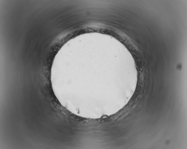 X0000116660822201001251216