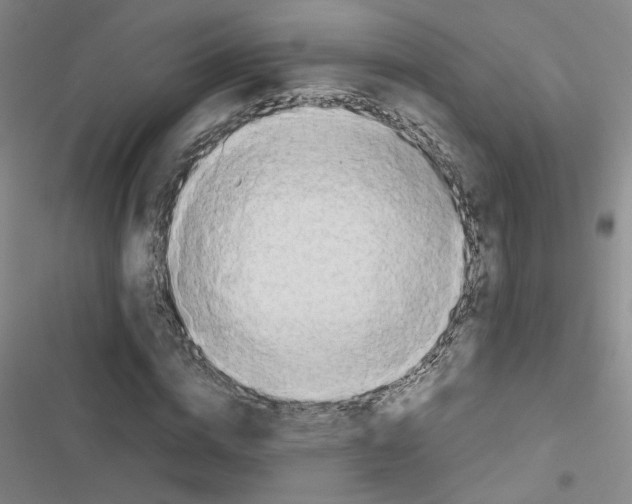X0000116660824201001251216