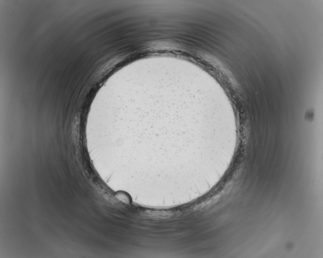 X0000116660825201001251216