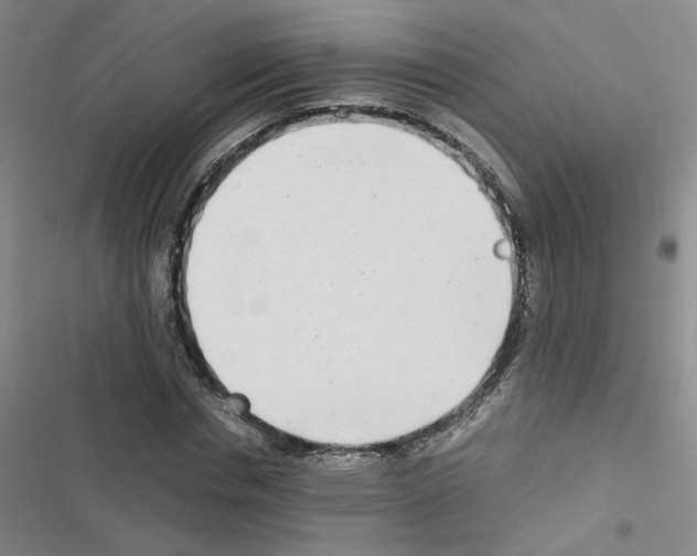 X0000116660826201001251216