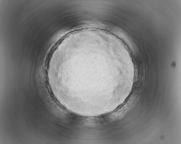 X0000116660828201001251216