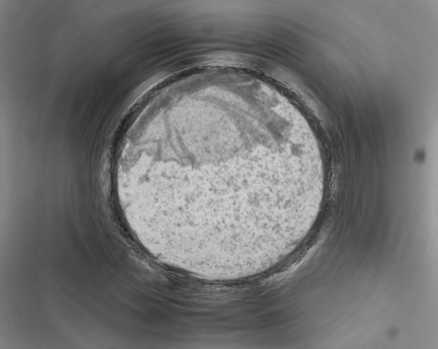 X0000116660829201001251216