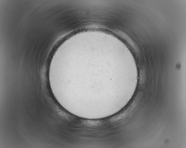 X0000116660831201001251216