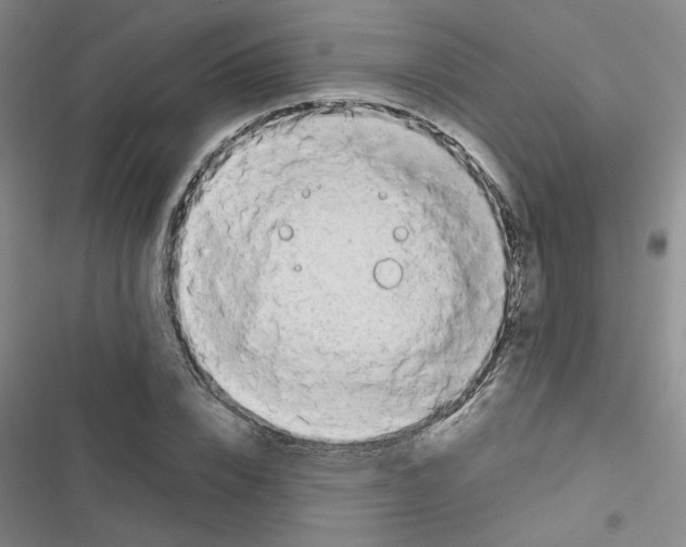 X0000116660832201001251216