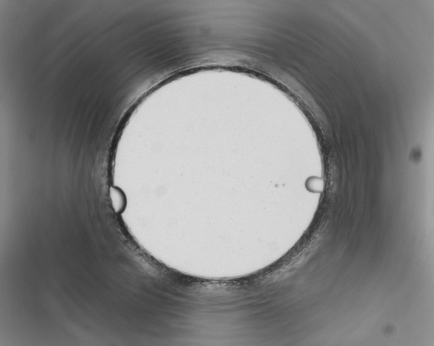 X0000116660834201001251216