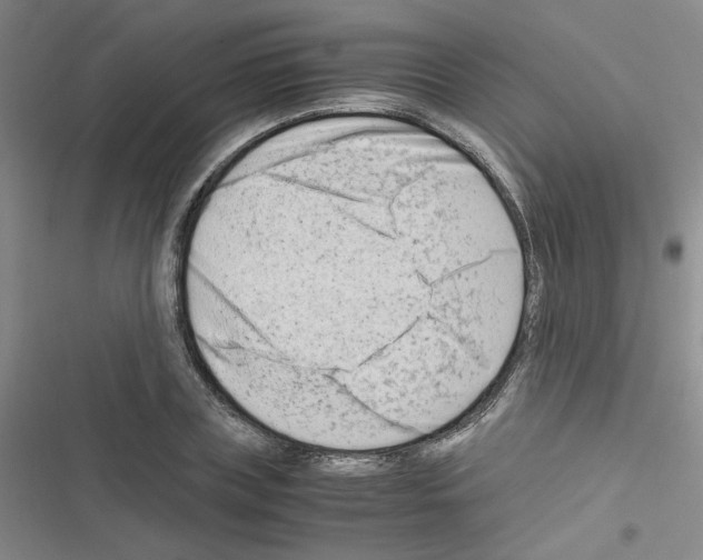 X0000116660835201001251216