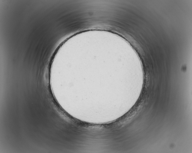 X0000116660838201001251216
