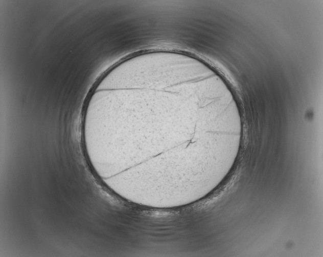 X0000116660839201001251216
