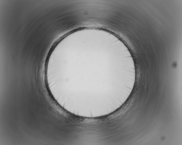 X0000116660840201001251216