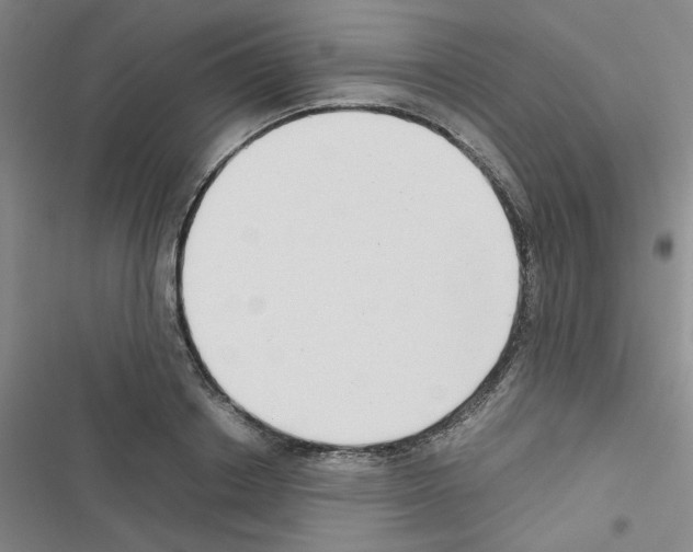X0000116660842201001251216