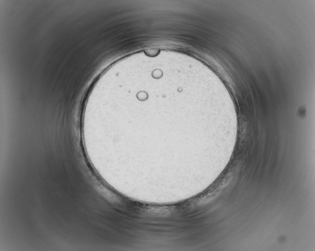X0000116660843201001251216