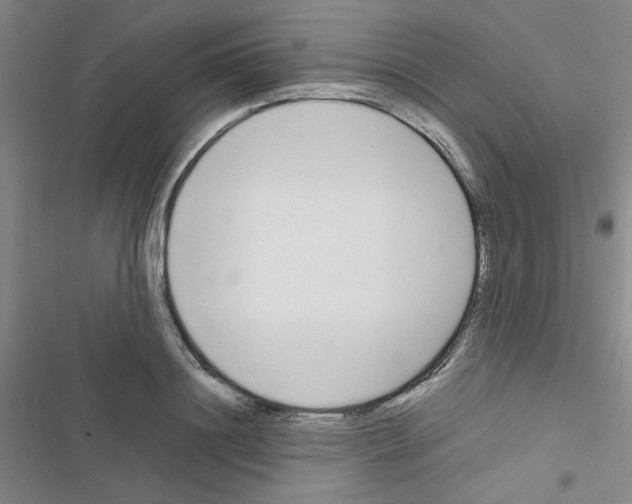 X0000116660844201001251216
