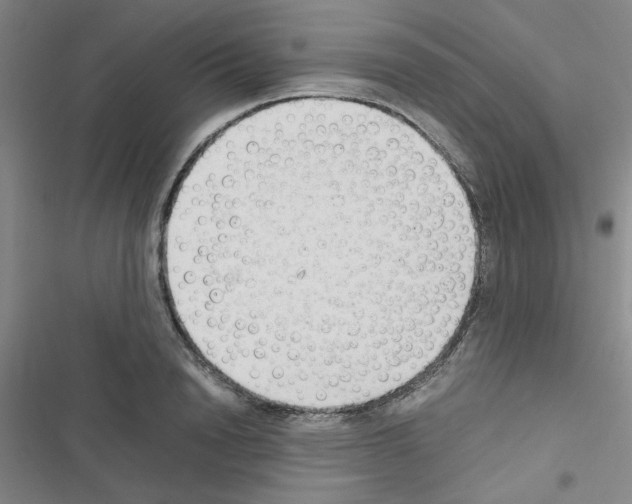 X0000116660846201001251216