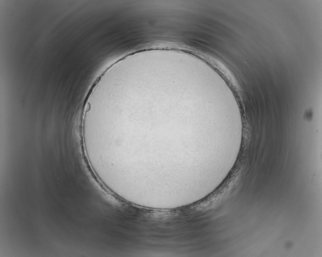 X0000116660847201001251216