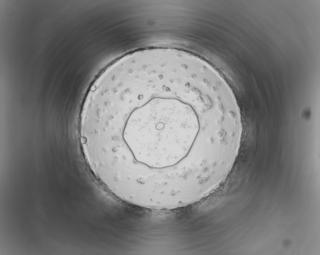 X0000116660848201001251216
