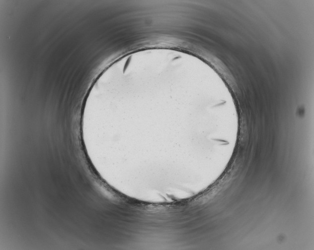X0000116660850201001251216