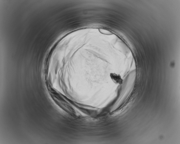 X0000116660851201001251216