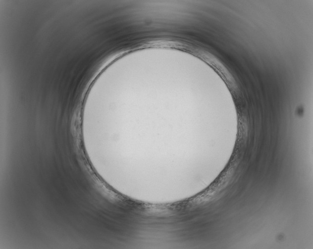 X0000116660852201001251216