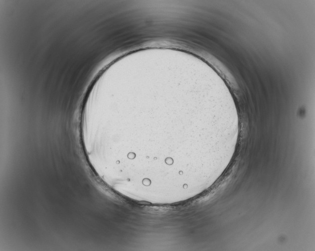 X0000116660854201001251216