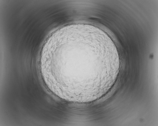 X0000116660856201001251216