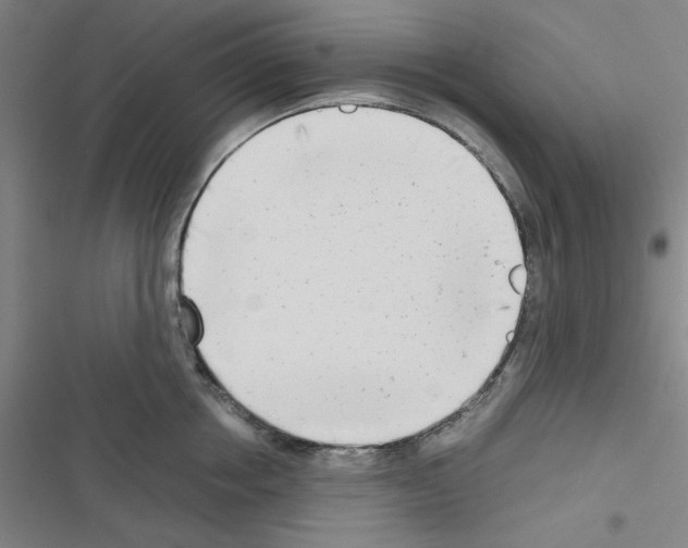 X0000116660858201001251216