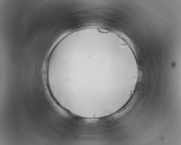 X0000116660859201001251216
