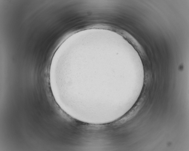 X0000116660860201001251216