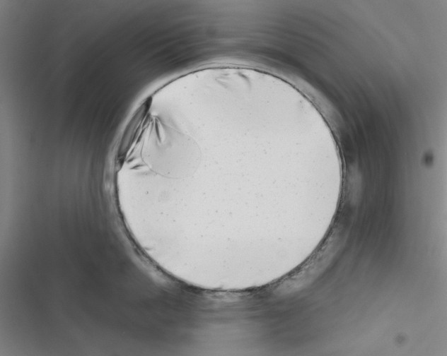 X0000116660862201001251216
