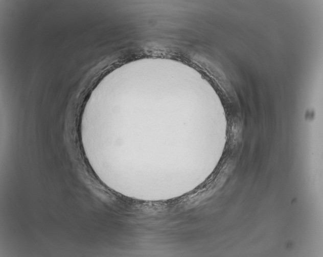 X0000116660865201001251216