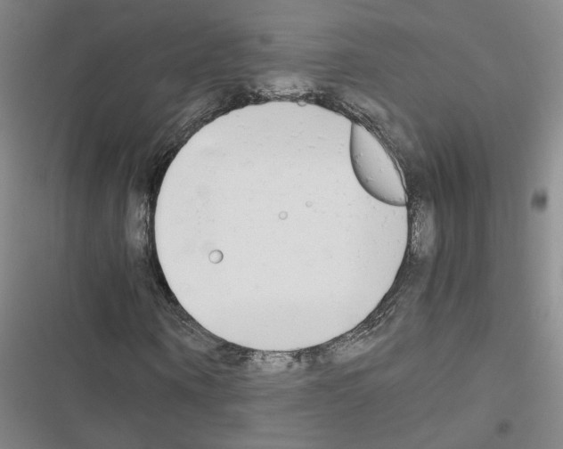 X0000116660866201001251216
