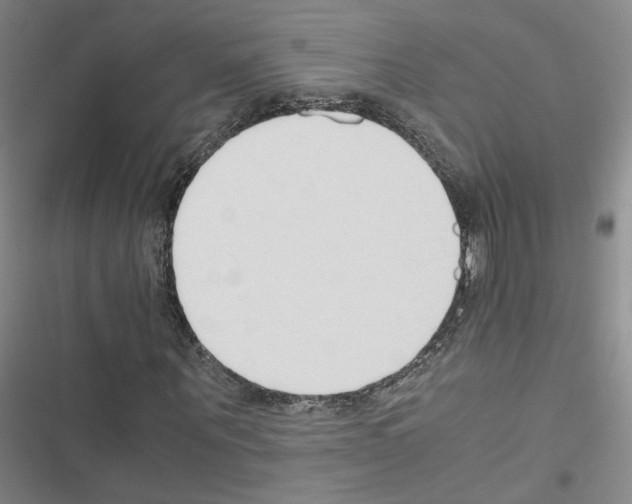 X0000116660867201001251216
