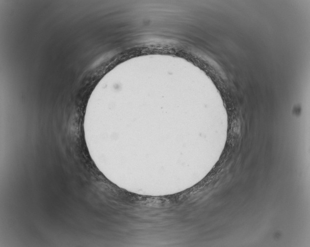 X0000116660869201001251216