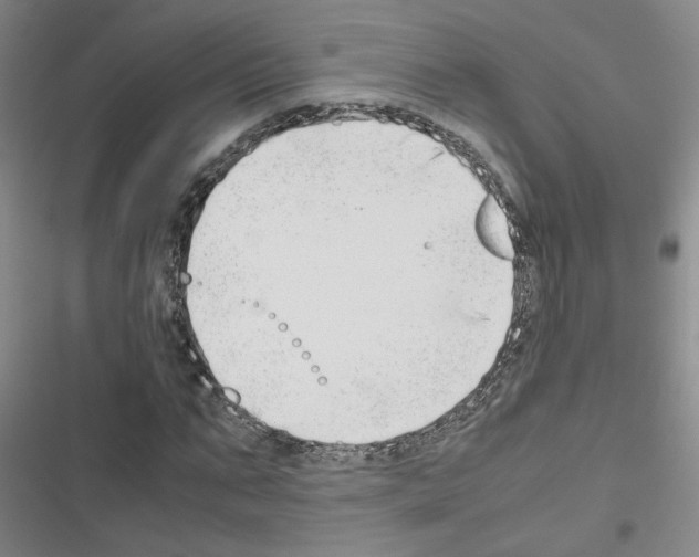 X0000116660871201001251216