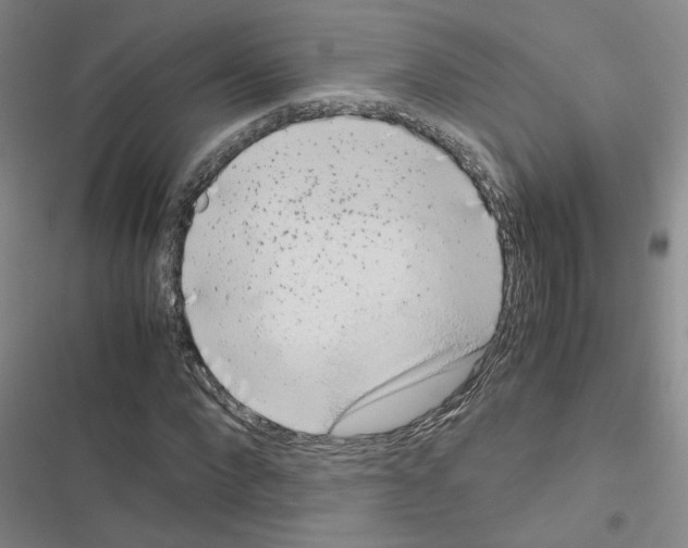 X0000116660872201001251216