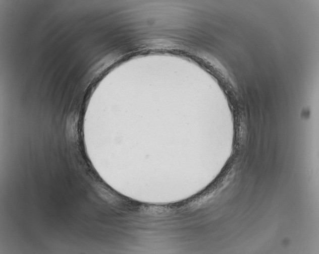 X0000116660873201001251216