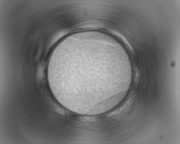X0000116660874201001251215
