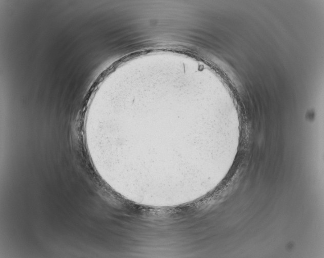 X0000116660875201001251215