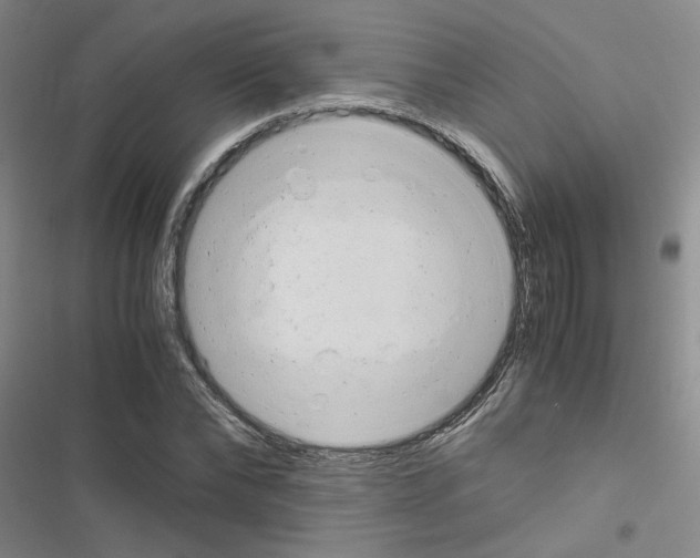 X0000116660878201001251215