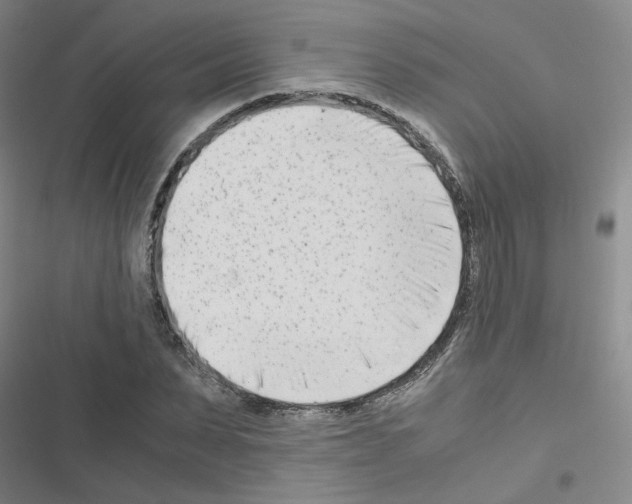 X0000116660879201001251215