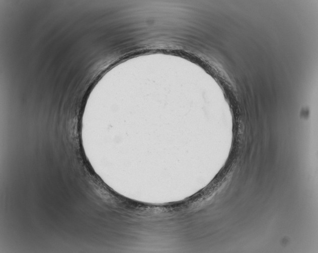 X0000116660881201001251215