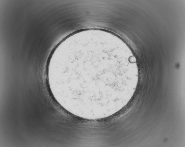X0000116660885201001251215