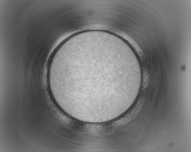 X0000116660886201001251215