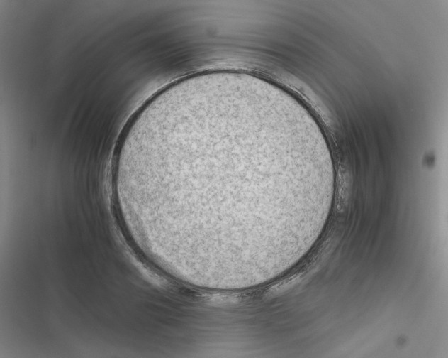 X0000116660890201001251215