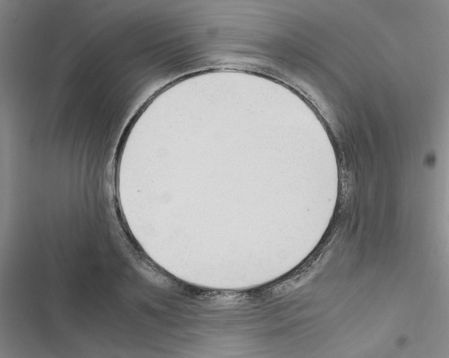 X0000116660891201001251215