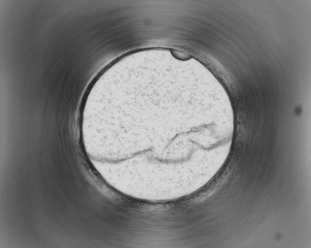 X0000116660892201001251215
